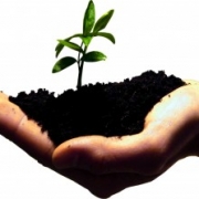 emprendedor-300×223